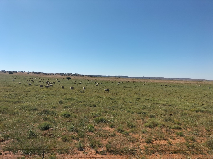 4 Bedroom Property for Sale in Bloemfontein Rural Free State